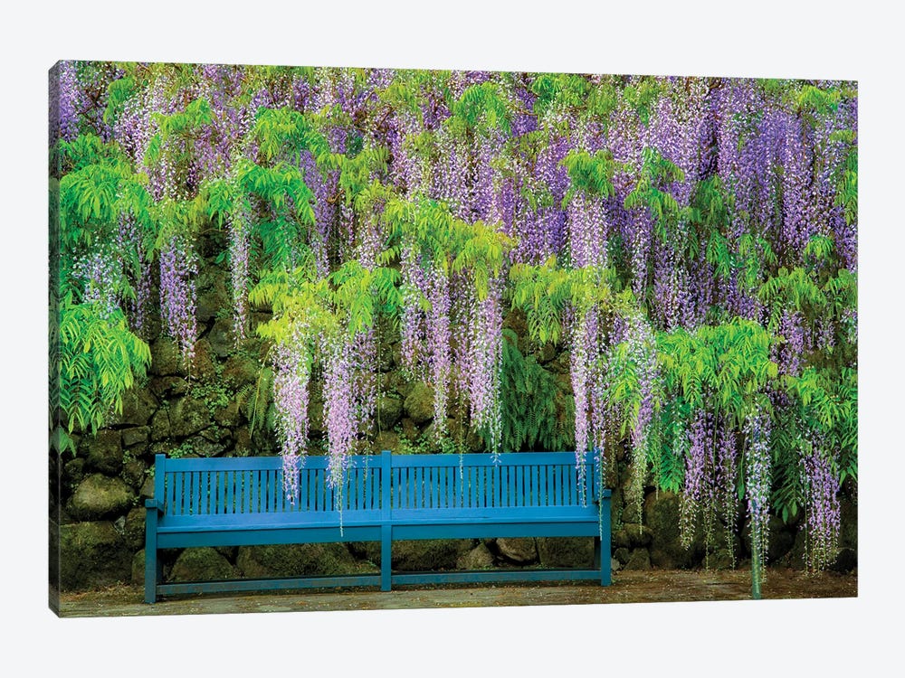 Wisteria Bench by Dennis Frates 1-piece Canvas Print