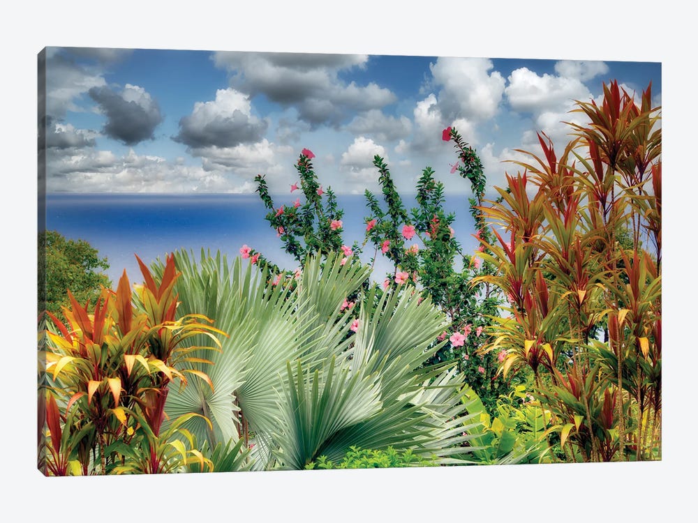 Tropical Gardens II by Dennis Frates 1-piece Canvas Print