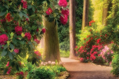Garden Pathway by Dennis Frates canvas print