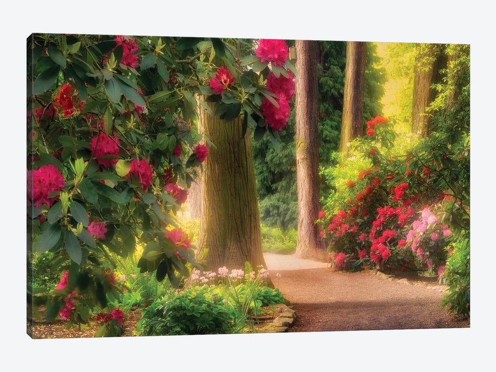 Garden Pathway by Dennis Frates 1-piece Canvas Print