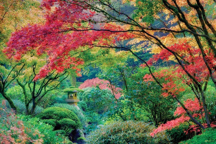 Japanese Garden Autumn by Dennis Frates wall art