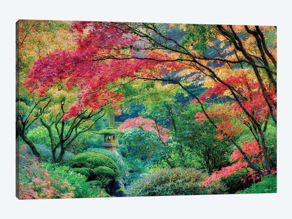 Japanese Garden Autumn by Dennis Frates 1-piece Canvas Art Print
