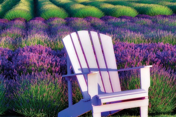 Herbs: Lavender Chair by Dennis Frates