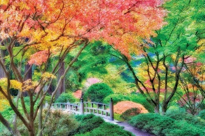 Garden Path III by Dennis Frates canvas print