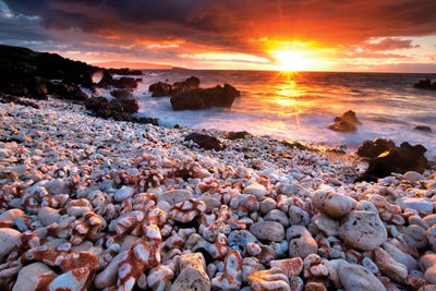 Coral Sunrise by Dennis Frates framed canvas print