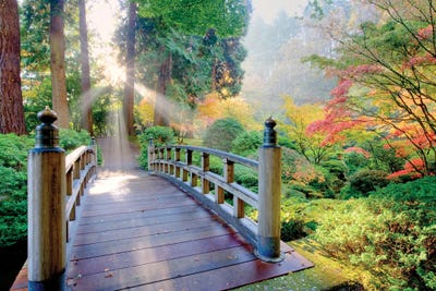 Garden Bridge Path by Dennis Frates art print