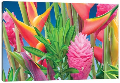 Tropical Flower Arrangement Canvas Art Print - Macro Photography