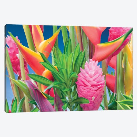 Tropical Flower Arrangement Canvas Print #DEN826} by Dennis Frates Canvas Print