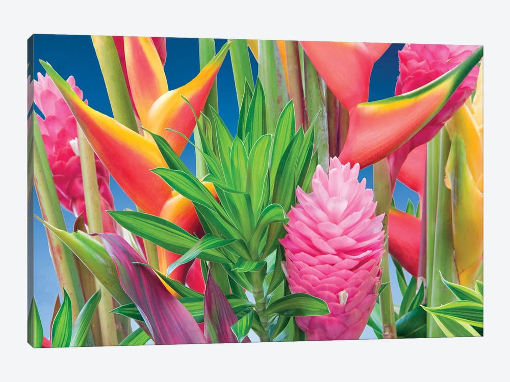 Tropical Flower Arrangement by Dennis Frates 1-piece Canvas Art Print