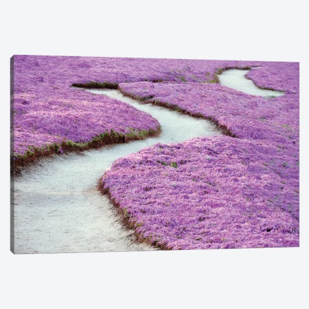 Floral Pathway Canvas Print #DEN835} by Dennis Frates Canvas Wall Art
