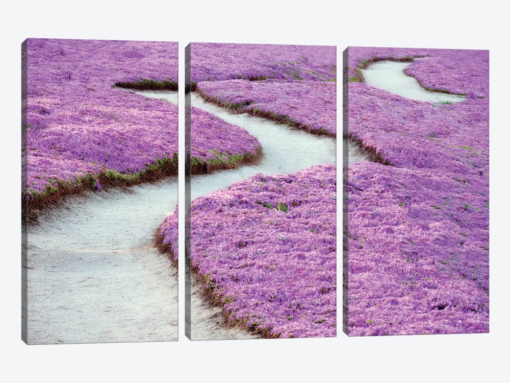 Floral Pathway by Dennis Frates 3-piece Canvas Print