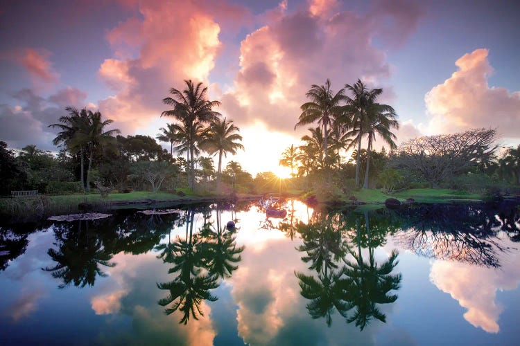 Tropical Garden Sunrise