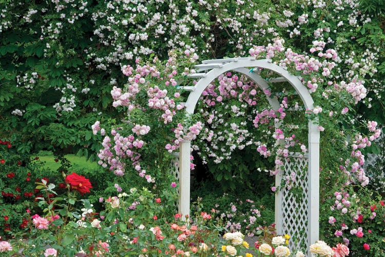 Floral Arch