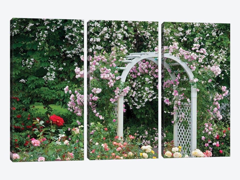 Floral Arch by Dennis Frates 3-piece Canvas Print