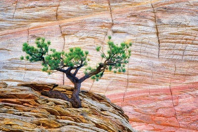 Against All Odds by Dennis Frates canvas print