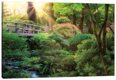 Garden Sunrise Canvas Art Print - Zen Garden