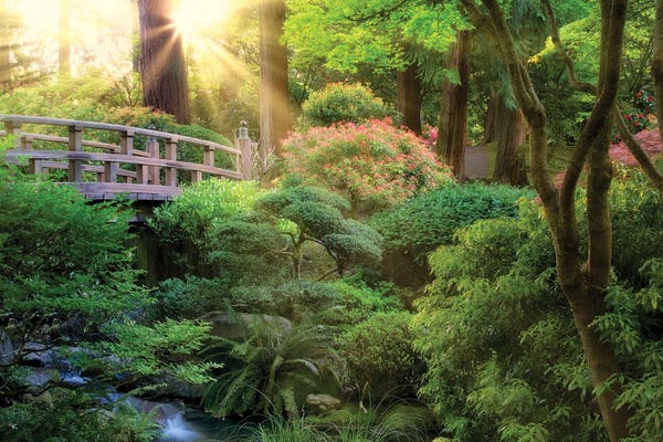 Bridges: Garden Sunrise by Dennis Frates