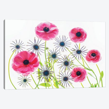 Flower Arrangement Canvas Print #DEN855} by Dennis Frates Canvas Wall Art