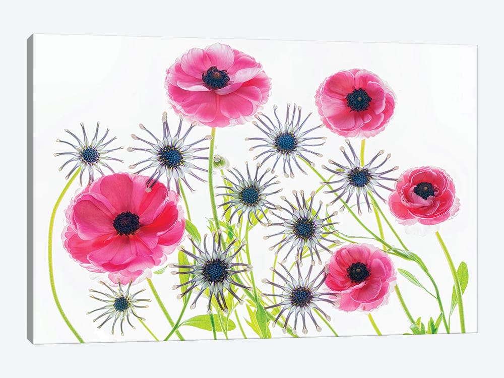 Flower Arrangement by Dennis Frates 1-piece Canvas Art Print