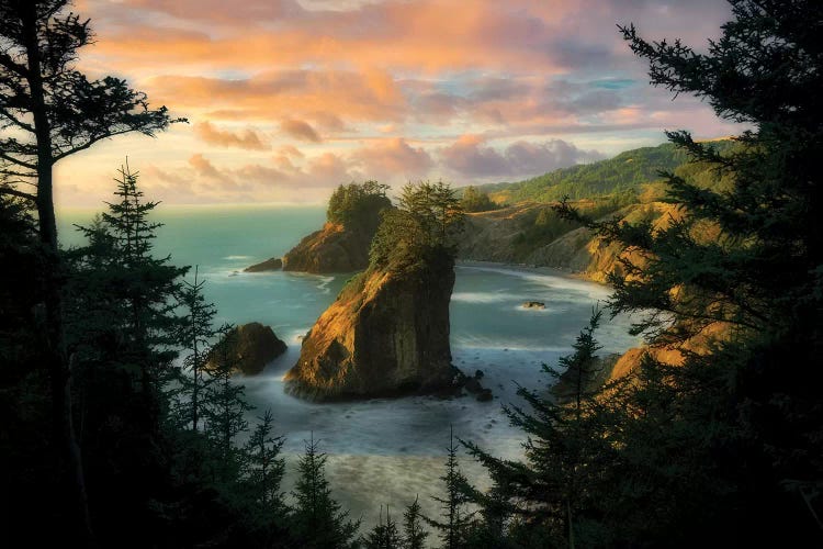 Crashing Tall Wave by Dennis Frates wall art