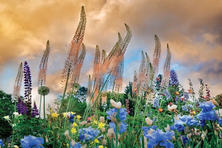 Flower Spiers by Dennis Frates wall art