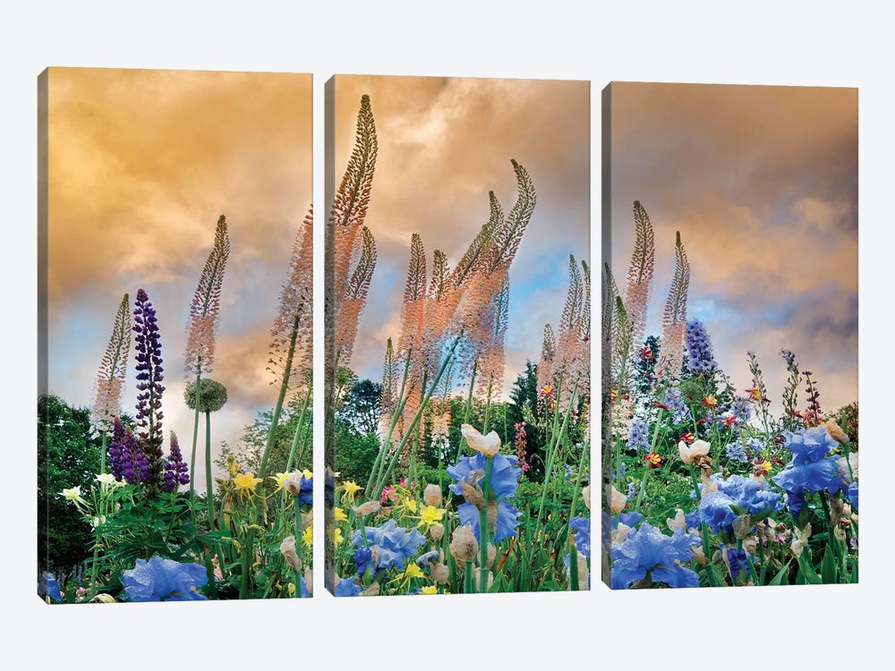 Flower Spiers by Dennis Frates 3-piece Canvas Wall Art