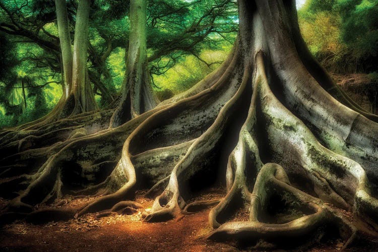 Jurassic Tree by Dennis Frates wall art