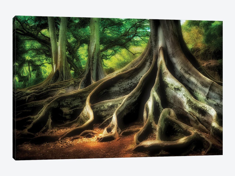 Jurassic Tree by Dennis Frates 1-piece Canvas Artwork