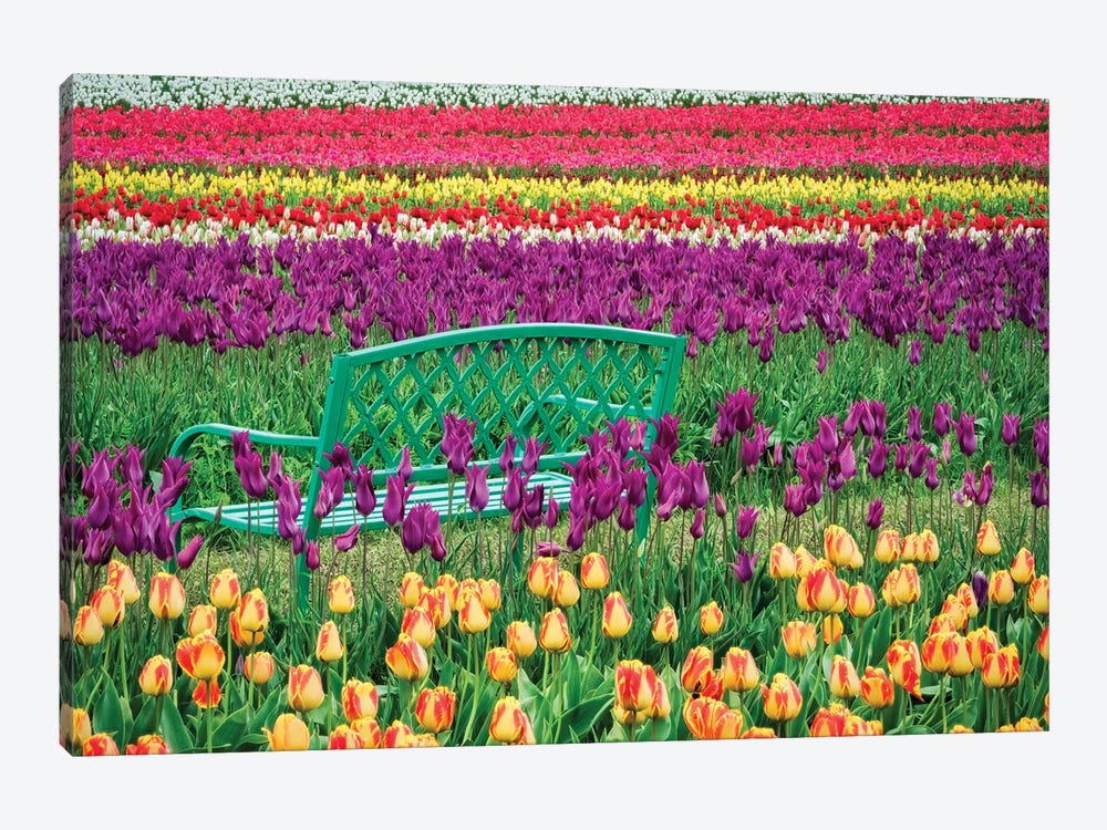 Tulip Bench II by Dennis Frates 1-piece Art Print