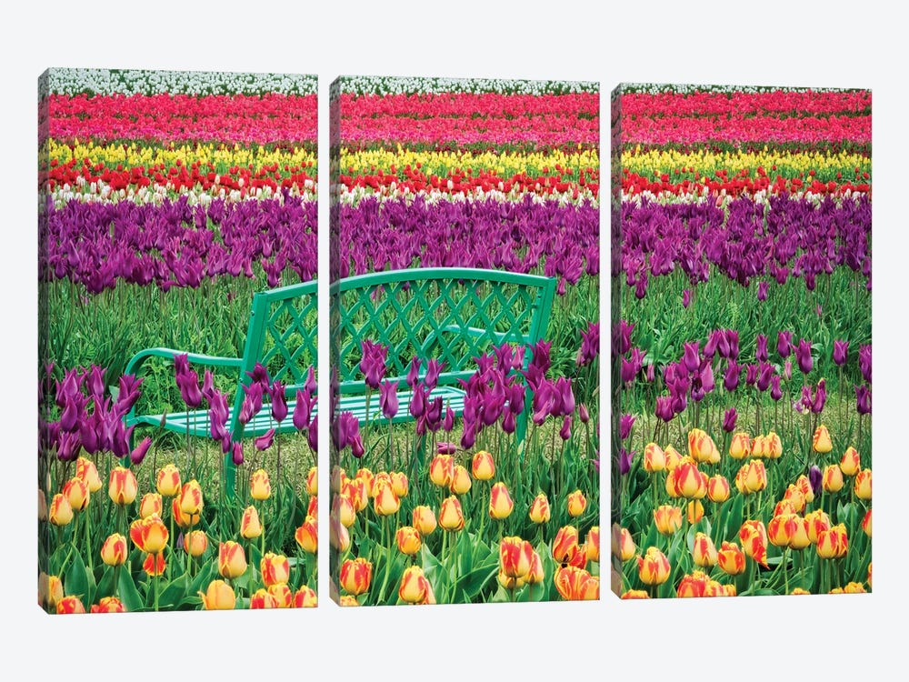 Tulip Bench II by Dennis Frates 3-piece Art Print