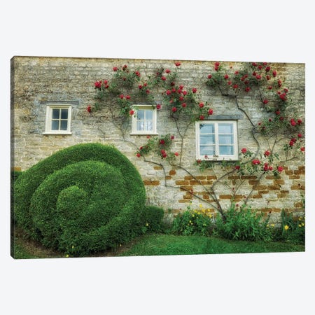 Rose Wall II Canvas Print #DEN888} by Dennis Frates Canvas Wall Art