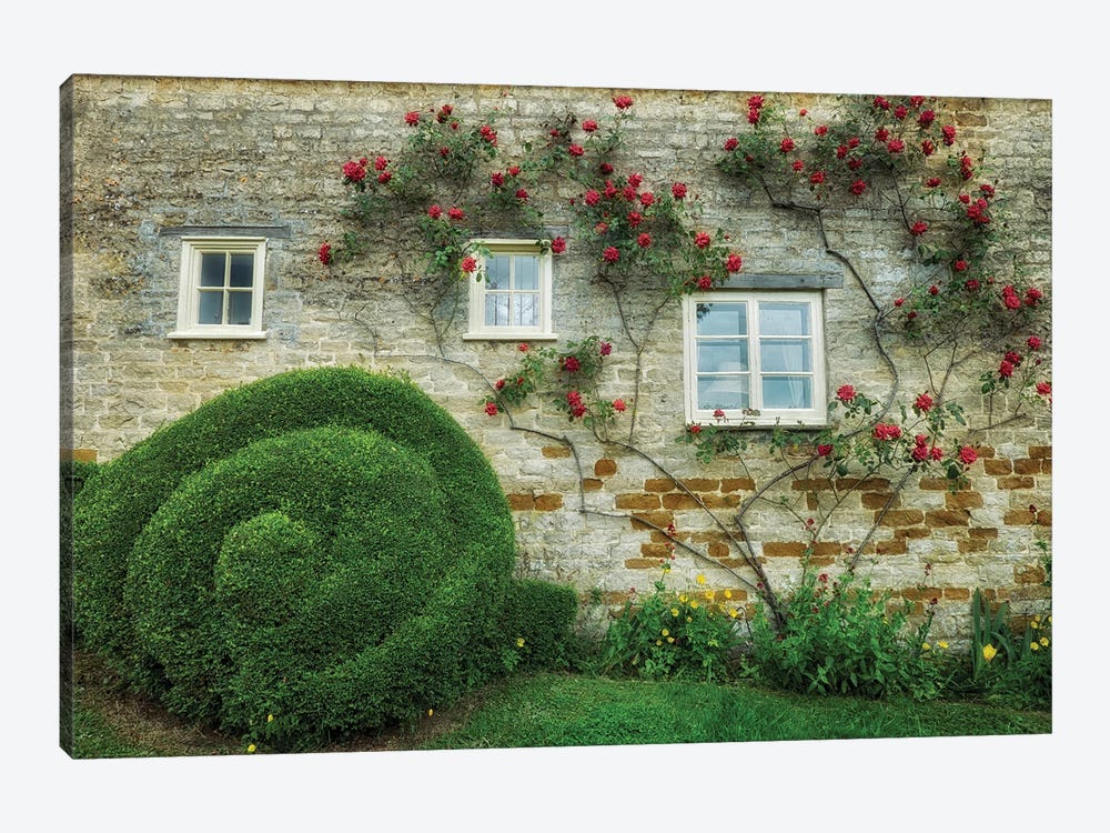 Rose Wall II by Dennis Frates 1-piece Canvas Print