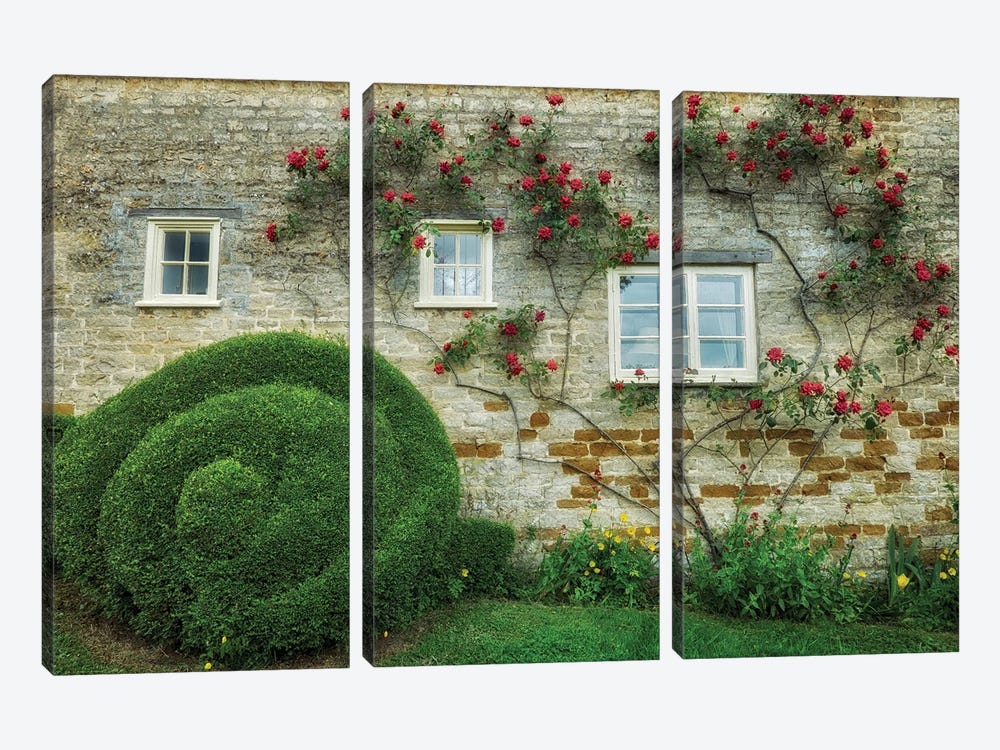 Rose Wall II by Dennis Frates 3-piece Canvas Print