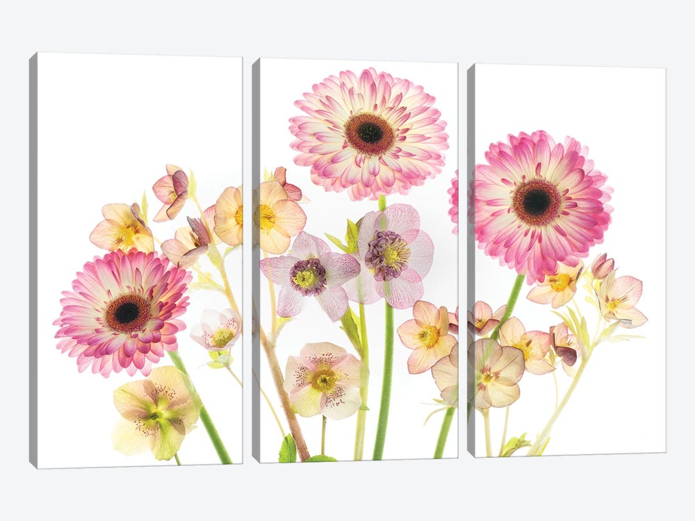 Flower Arrangment XI by Dennis Frates 3-piece Canvas Art