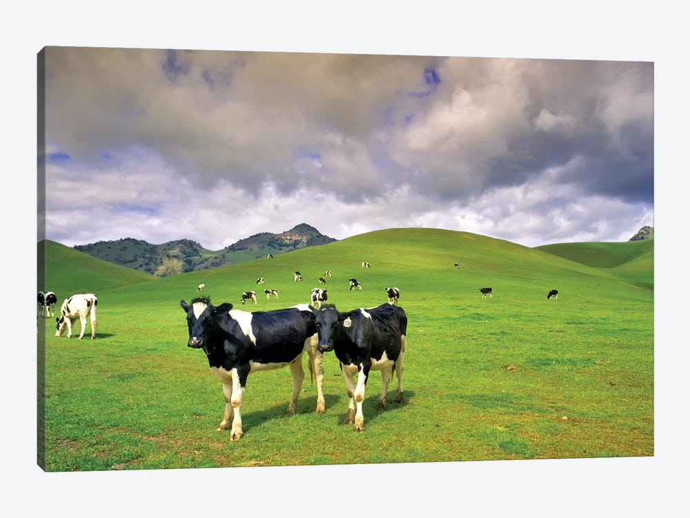 Dairy Pasture II by Dennis Frates 1-piece Art Print