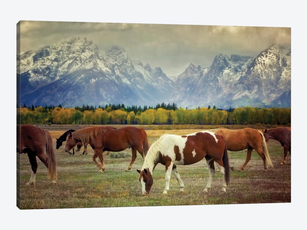 Teton Horses by Dennis Frates 1-piece Canvas Wall Art