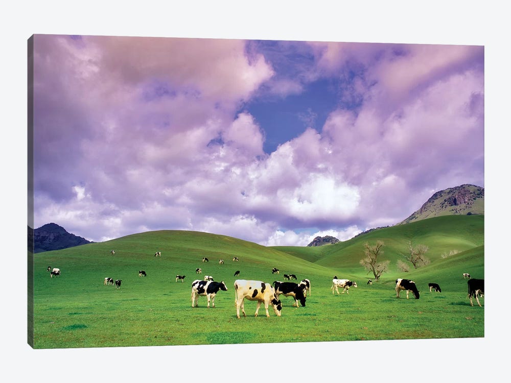 Dairy Pasture IV by Dennis Frates 1-piece Canvas Wall Art