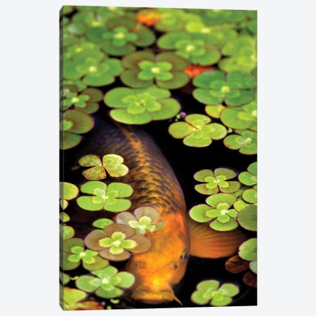 Frog Pond II Canvas Print #DEN930} by Dennis Frates Canvas Wall Art