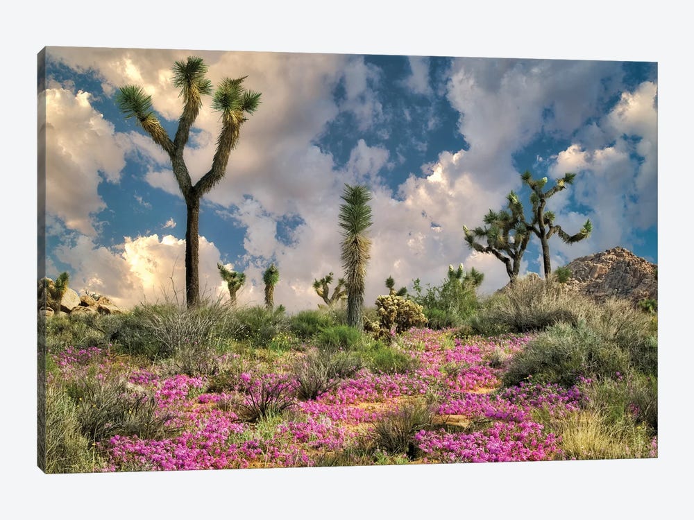 Desert Bloom by Dennis Frates 1-piece Art Print