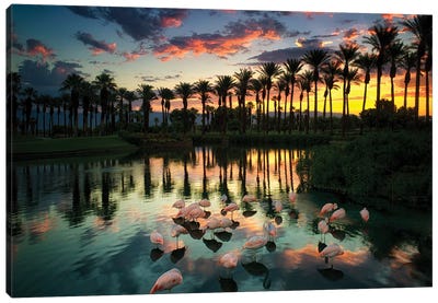 Sunrise Flamingos Canvas Art Print - Sunset Shades