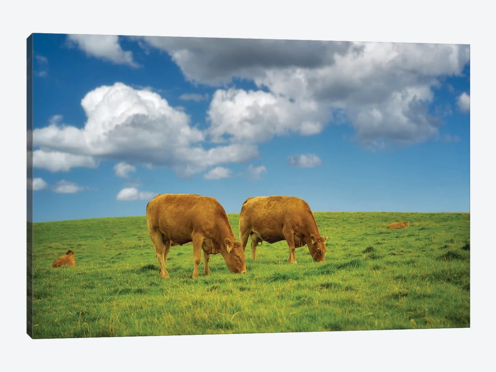 Two Irish Cows by Dennis Frates 1-piece Canvas Art