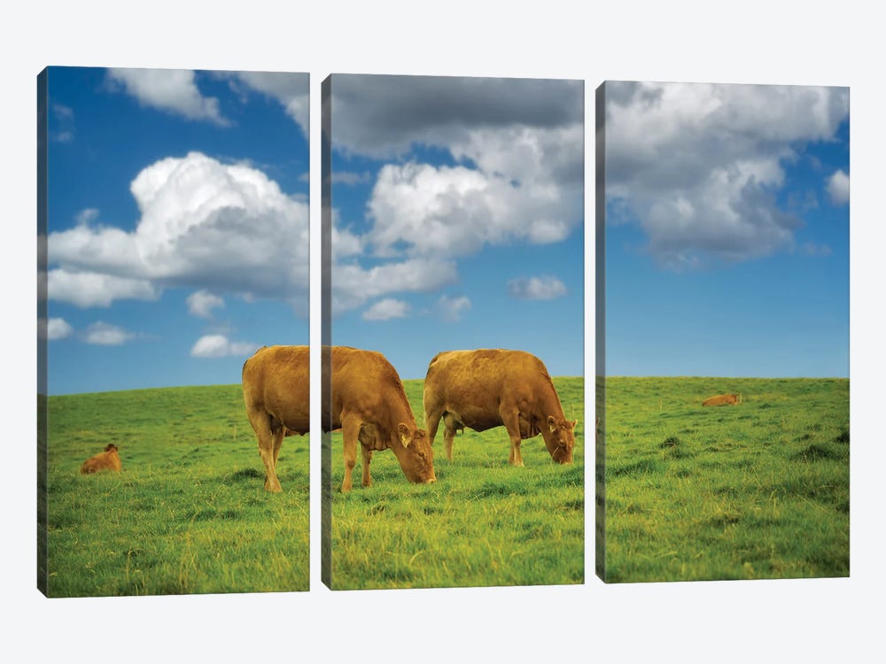Two Irish Cows by Dennis Frates 3-piece Canvas Art