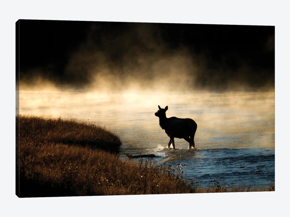 Morning Crossing by Dennis Frates 1-piece Canvas Art
