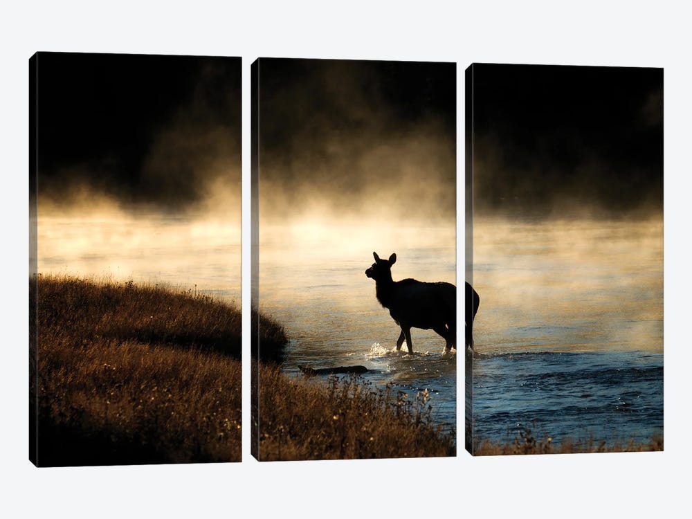 Morning Crossing by Dennis Frates 3-piece Canvas Art