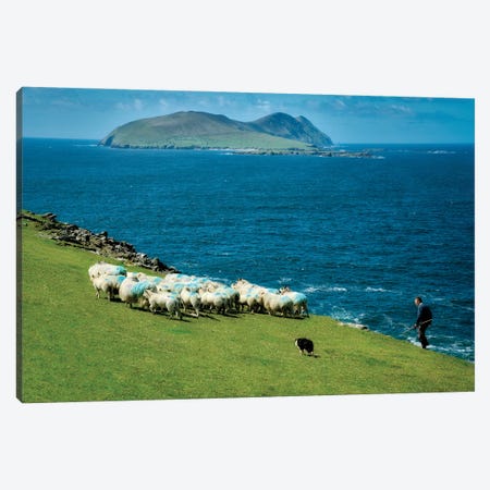 Irish Sheep Herding Canvas Print #DEN968} by Dennis Frates Canvas Art Print