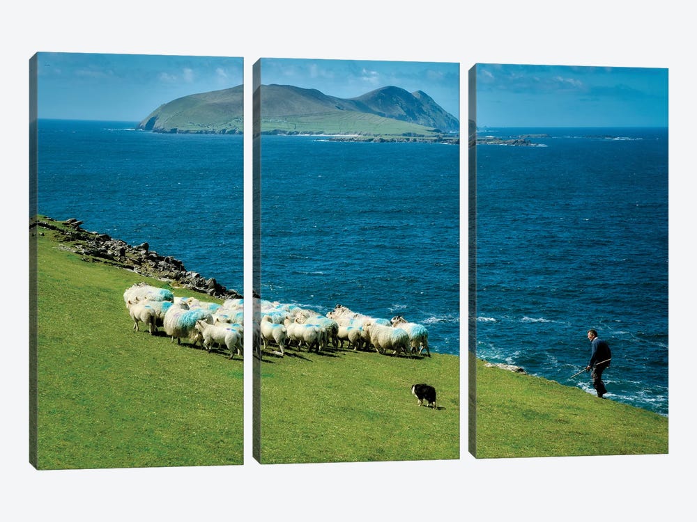 Irish Sheep Herding by Dennis Frates 3-piece Canvas Art