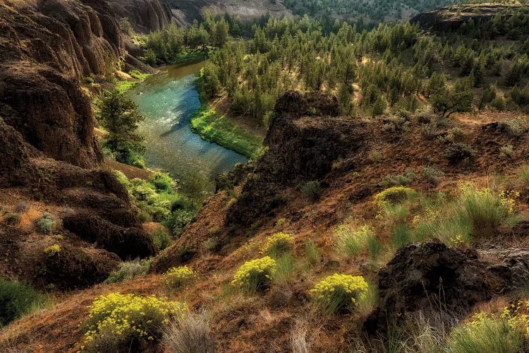 Desert Canyon Stream