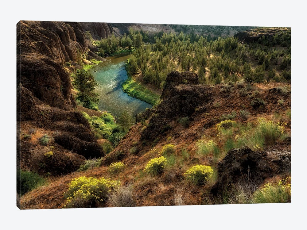 Desert Canyon Stream by Dennis Frates 1-piece Canvas Print