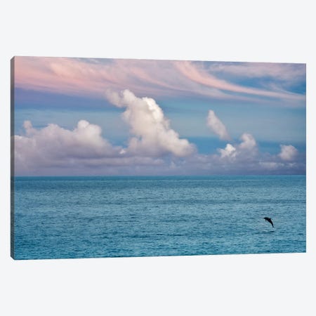 Jumping Dolphin Canvas Print #DEN977} by Dennis Frates Art Print