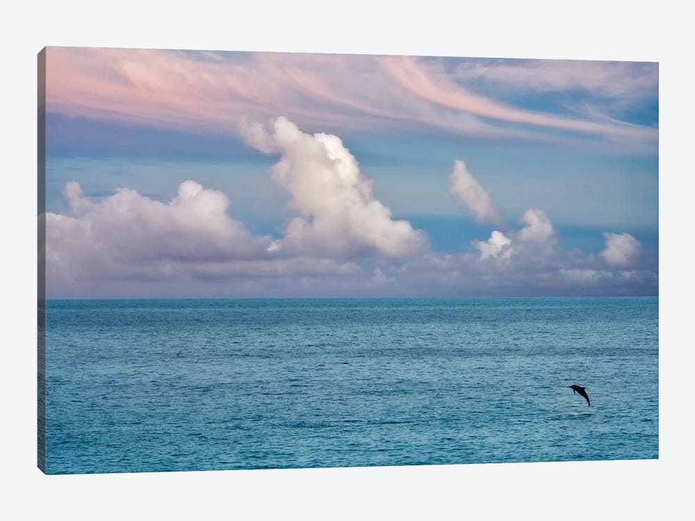 Jumping Dolphin by Dennis Frates 1-piece Canvas Wall Art